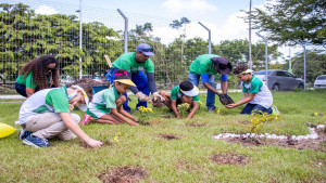 Horto Florestal promove plantio simbólico de margaridas em alusão ao 18 de maio