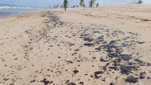 Quase 200 mil litros de óleo foram derramados no mar brasileiro em 3 anos