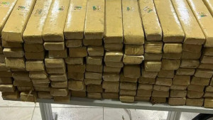 Polícia apreende mais de 200kg de maconha em Salvador