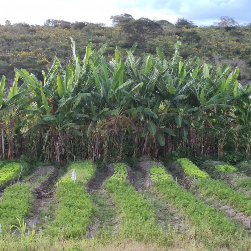 Investimentos do Governo do Estado garantem o acesso à água para a produção de agricultores familiares